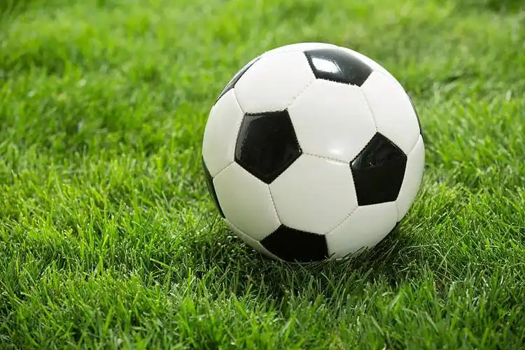 用户张先生头像